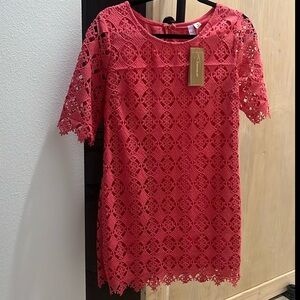 Francesca’s NWT Spring Lace dress